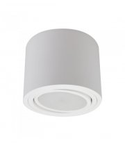 LM P 102 WH PLAFON GX53